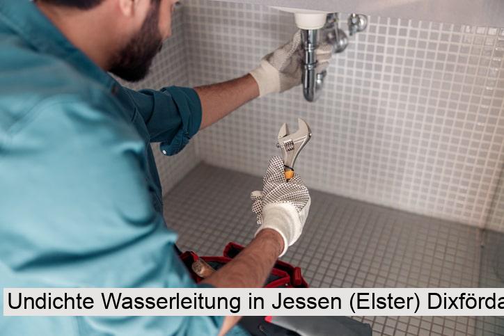 Undichte Wasserleitung in Jessen (Elster) Dixförda